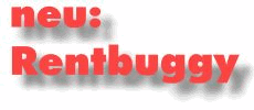 neu: Rentbuggy